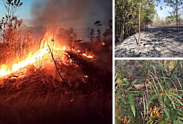 Dua kebakaran hutan di Rawang berjaya dipadamkan
