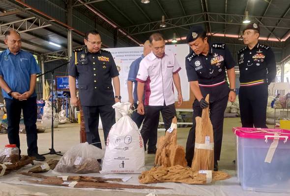 Polis sita kayu gaharu, peralatan bernilai lebih RM106 juta di Melaka
