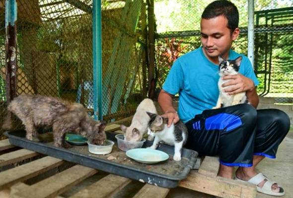 Pemuda sanggup berhabis wang pelihara kucing jalanan