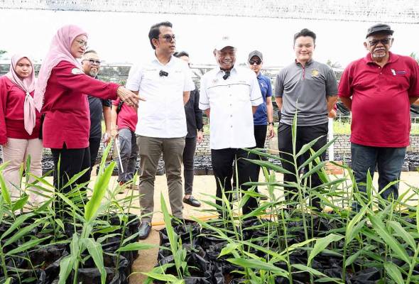 Teknologi bukan sekadar pasaran, perlu berimpak kepada rakyat