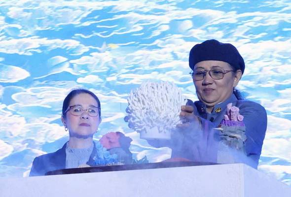 Malaysia rumus Pelan Tindakan Ekonomi Biru di bawah RMK13 - Hanifah Hajar