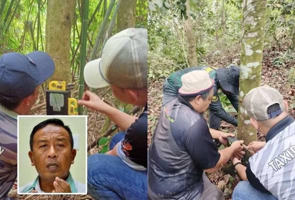 Tiada bukti fizikal, visual kehadiran harimau di Pangsapuri Sri Baiduri - Perhilitan