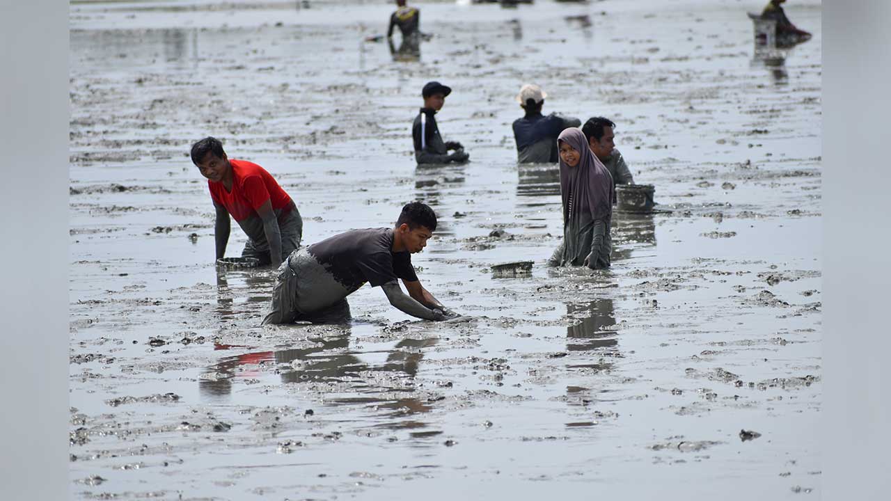 Suasana Pantai Klebang seperti pesta, orang ramai kutip kerang