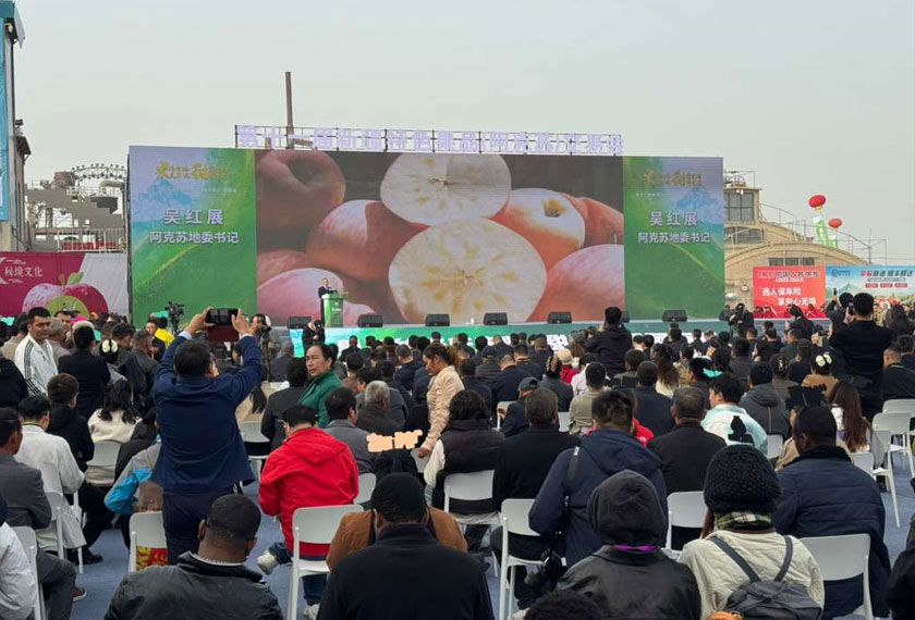 Aksu Xinjiang 2025 membawa tema "Buah-buahan Memenuhi Jalan Sutera, Meraikan Hasil yang Lumayan, Dusun Manis Aksu".