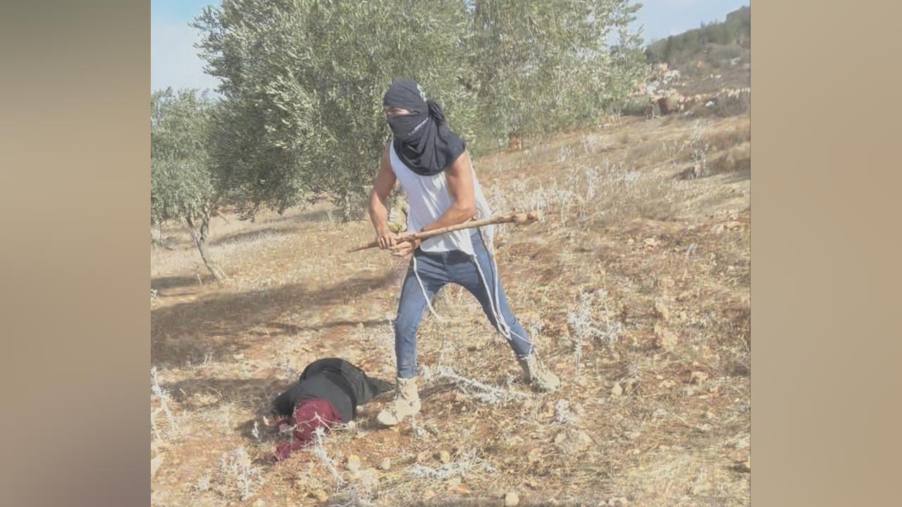 PBB kecam serangan kejam penduduk penempatan Israel terhadap petani zaitun