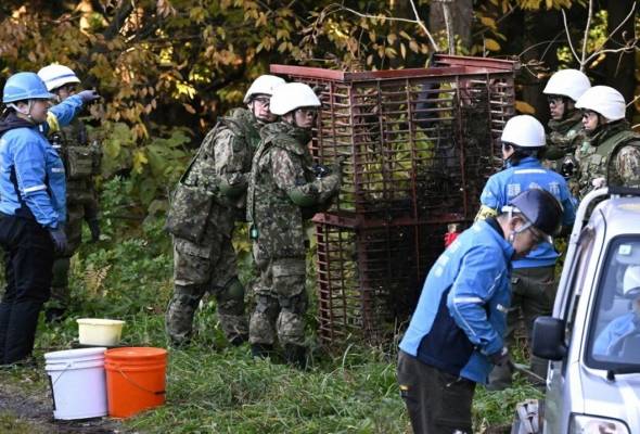 Kemalangan kenderaan dengan beruang catat rekod tertinggi di Wilayah Akita, Jepun