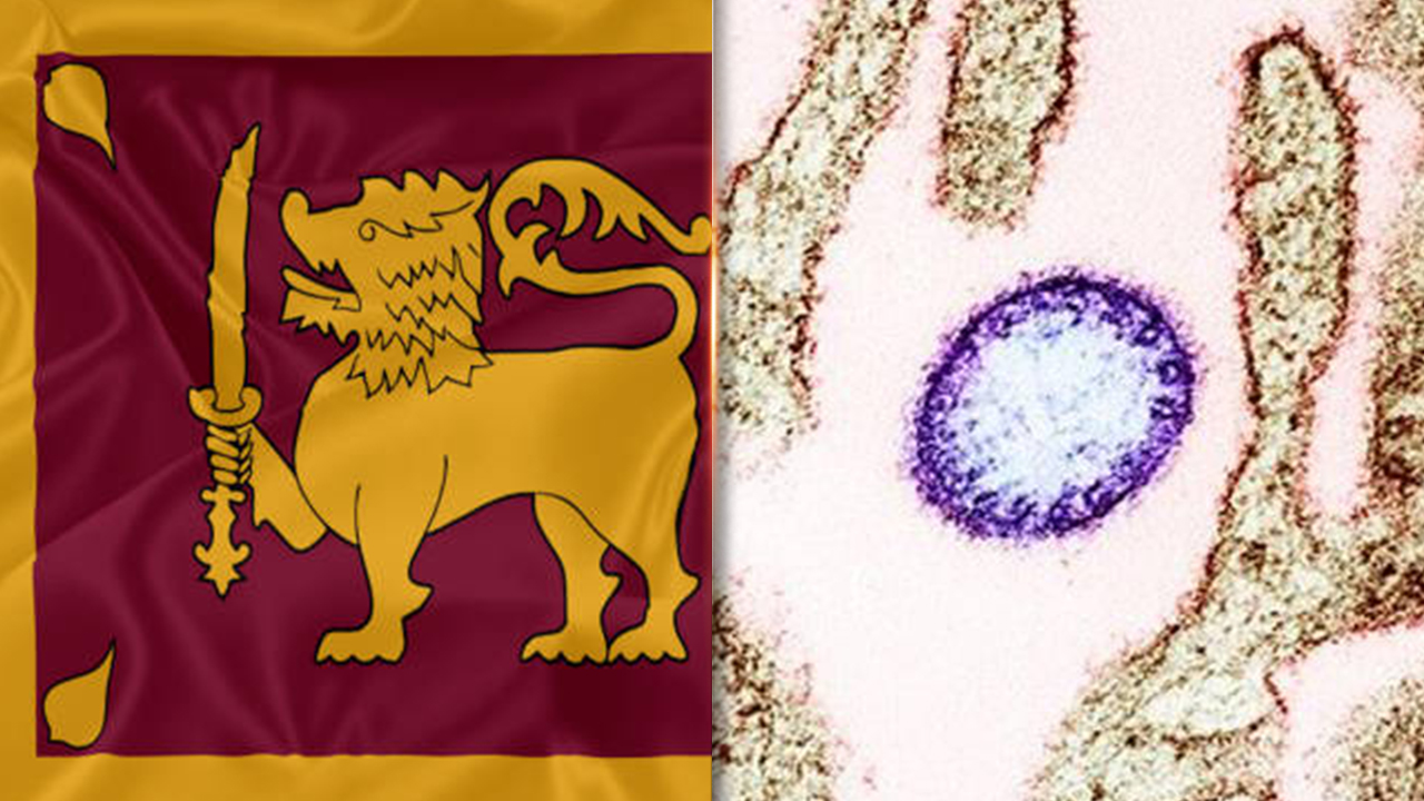 Sri Lanka berjaga-jaga susulan kemunculan kes virus Nipah di timur India