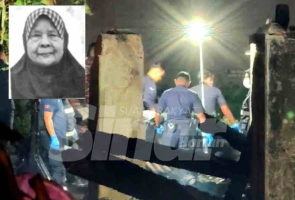 'Hilang ibu angkat, 70 ekor kucing, lima anjing sekelip mata'