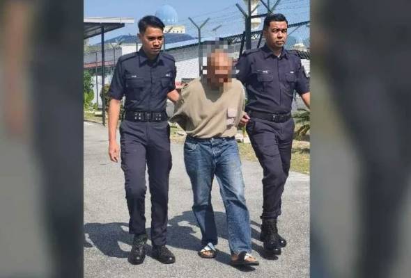 Kematian Suri: Keluarga pertimbang lantik peguam pemerhati